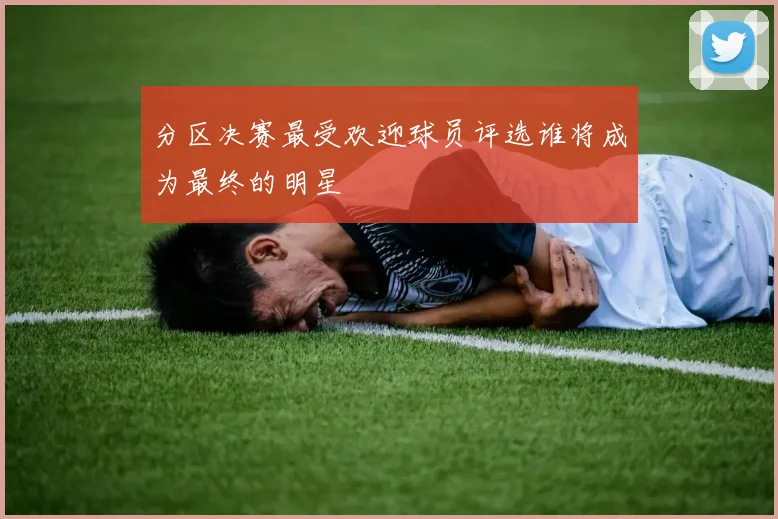 分区决赛最受欢迎球员评选谁将成为最终的明星