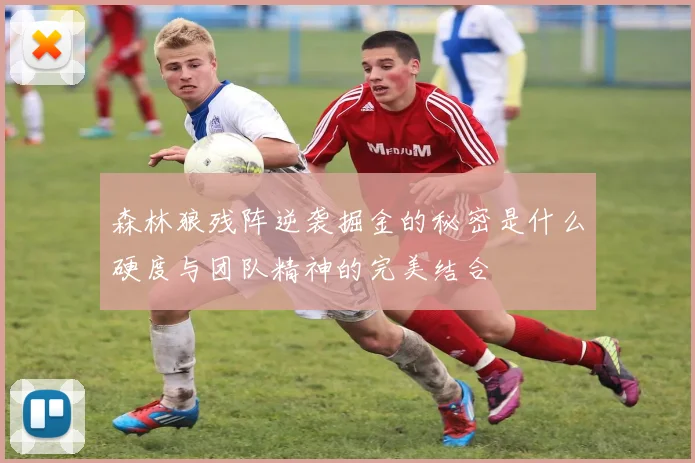 森林狼残阵逆袭掘金的秘密是什么硬度与团队精神的完美结合