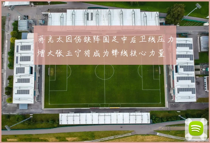 蒋光太因伤缺阵国足中后卫线压力增大张玉宁将成为锋线核心力量